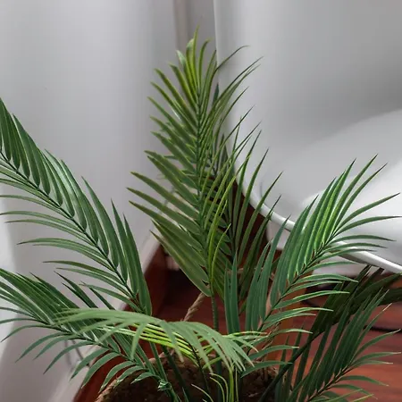 Amplio, Muy Luminoso Y En El Centro De